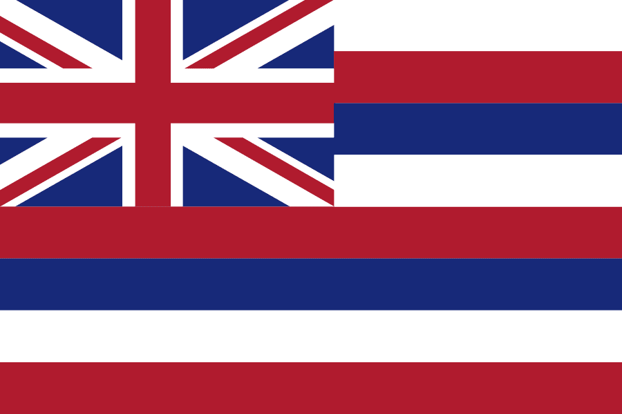 The Hawaii state flag