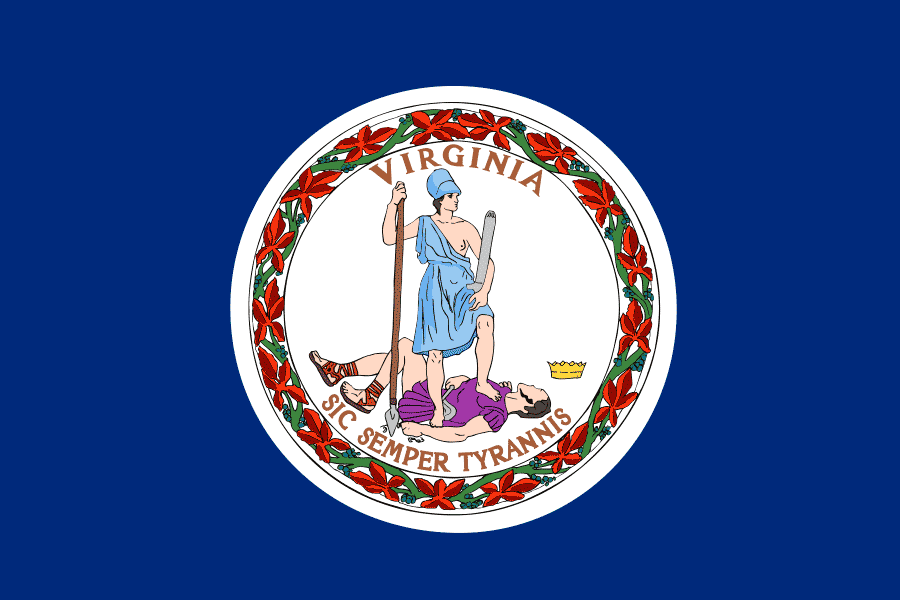 The Virginia state flag