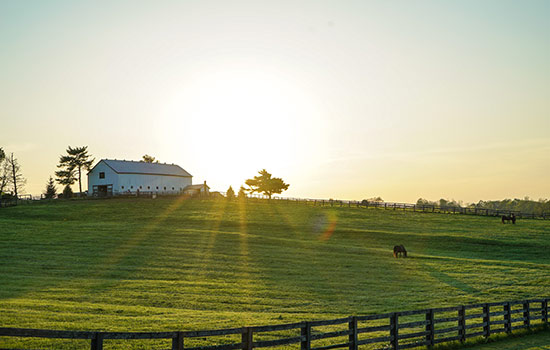 Location in the state of Kentucky