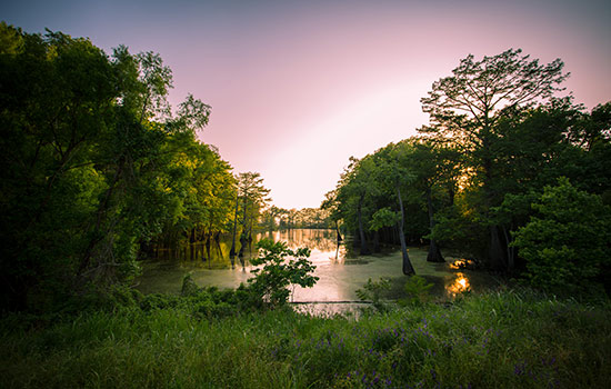 Location in the state of Mississippi